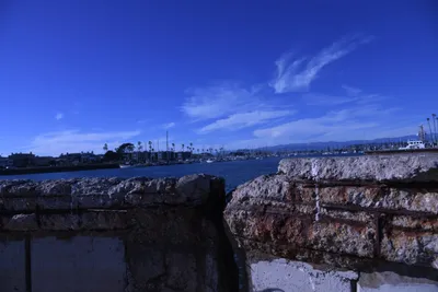 DSC_0813 (Large).JPG